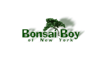 Bonsai Boy coupon code